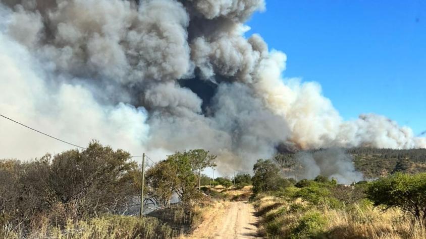 Onemi declaró alerta roja para San Pedro de Melipilla por incendio forestal