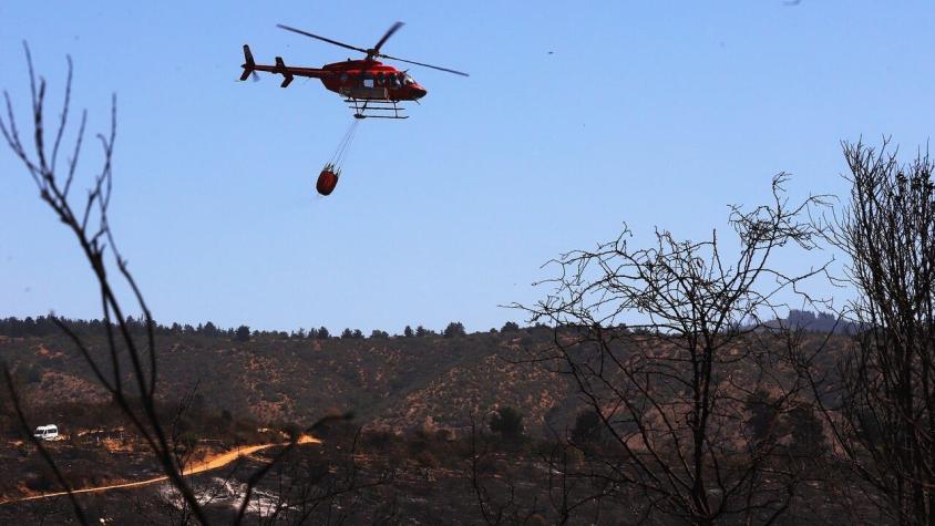 Director del Jardín Botánico descarta que incendio forestal tenga un supuesto fin inmobiliario