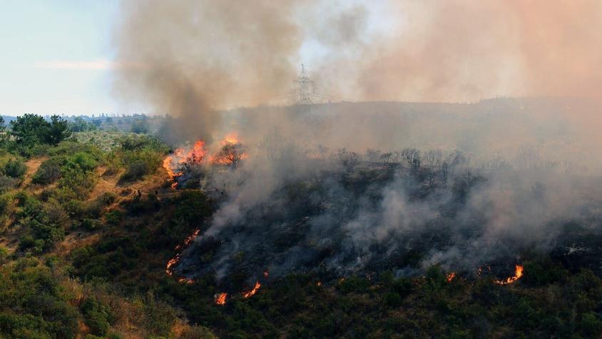 Onemi: Incendios forestales dejan cerca de 8 mil hectáreas consumidas en RM, Valparaíso y Biobío