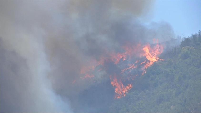 [VIDEO] Balance Onemi: Más de 8 mil hectáreas arrasadas por el fuego