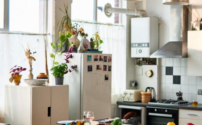 ¿Se te escarchan las verduras?: La razón por la que no debes poner objetos arriba de tu refrigerador
