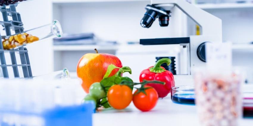Startup chilena crea el primer alimento “hyperfood” de Latinoamérica Startup chilena crea el primer alimento “hyperfood” de Latinoamérica