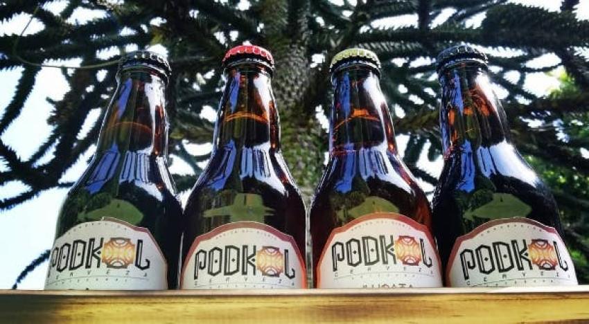 El éxito de Podkol: La cerveza artesanal de Coronel