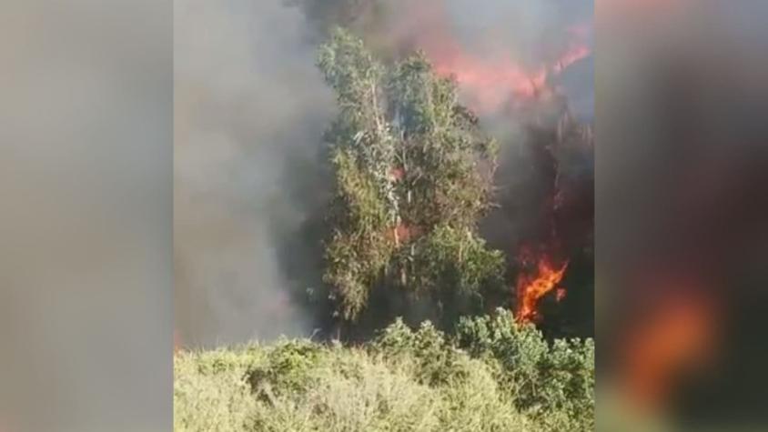 Alerta Roja por incendio forestal en Viña del Mar: al menos diez casas arrasadas por el fuego