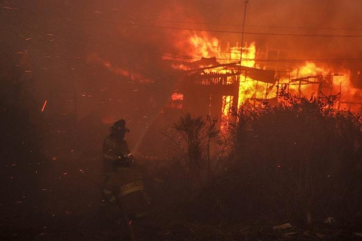 Incendio forestal en Viña del Mar: 500 casas afectadas, un muerto y otro por confirmar