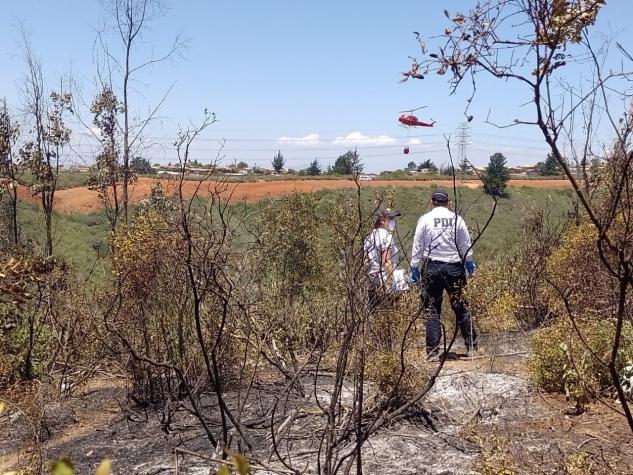 Identifican área de inicio de incendio en Viña del Mar: “Hay antecedentes que estuvieron personas"