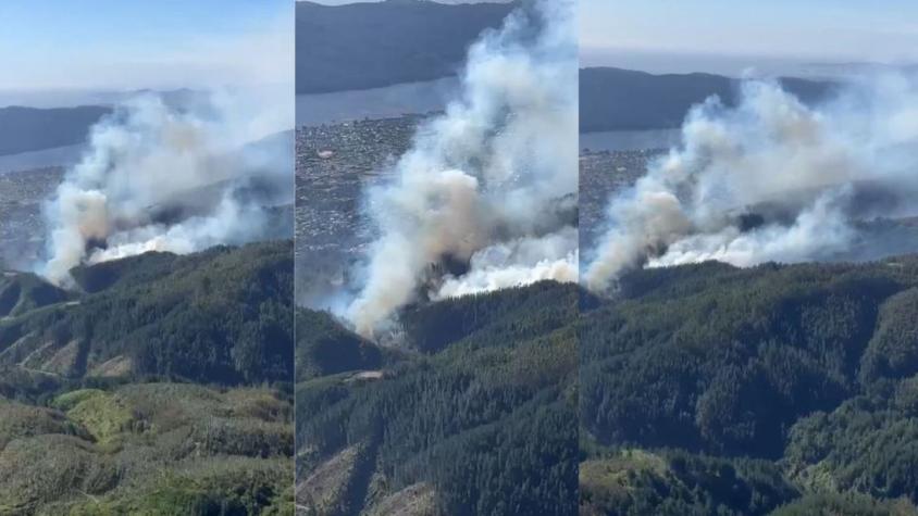 Onemi declara alerta roja por incendio forestal en Chiguayante y Hualqui