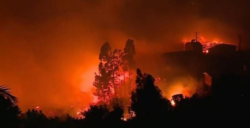 [VIDEO] ¿Qué hemos aprendido de las catástrofes?: Los desafíos ante la alza de incendios forestales