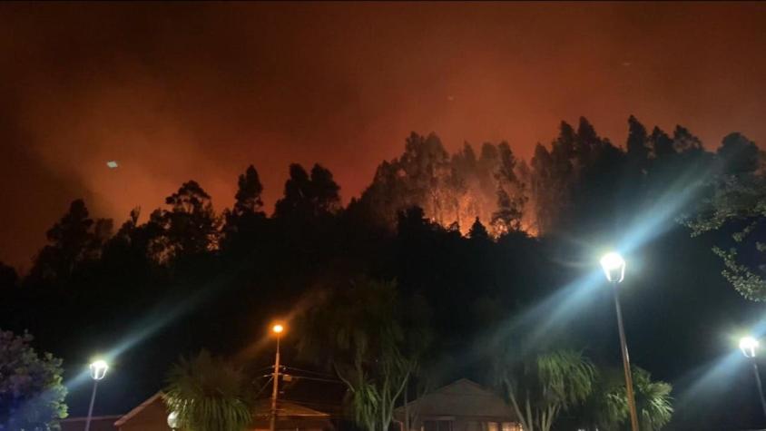 [VIDEO] Más de 60 hectáreas afectadas por el incendio forestal en Chiguayante