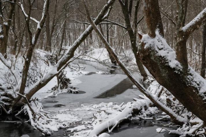 La "tormenta de nieve del siglo" deja casi medio centenar de muertos en EE.UU.