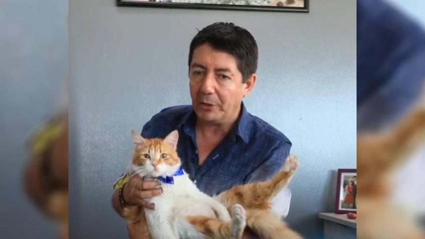 Alcalde de Antofagasta anuncia que no habrá fuegos artificiales con cariñoso video junto a su gato