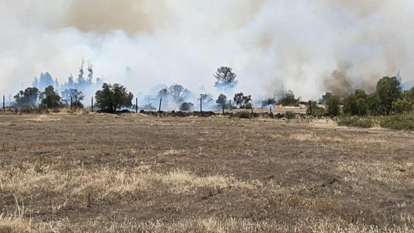 Cercano a sectores habitados: Alerta roja para Los Ángeles y Laja por incendios forestales