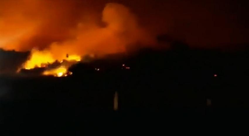 Onemi activa SAE y pide evacuar sector Los Guindos de Valdivia por incendio forestal