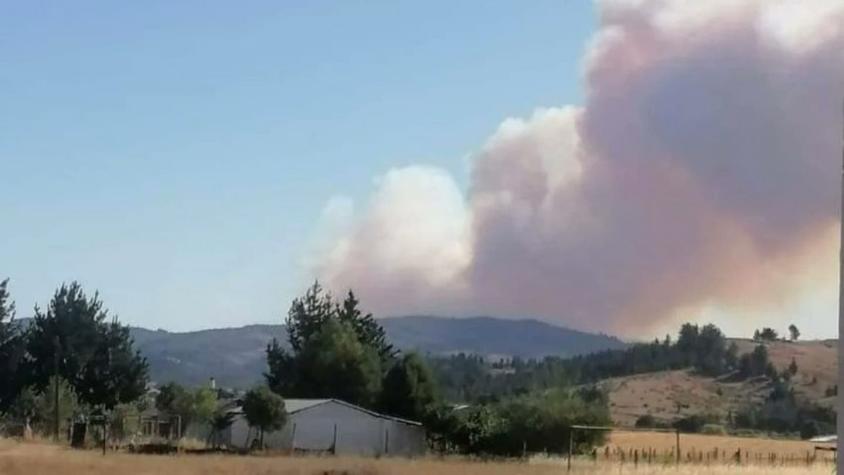 Onemi ordenó evacuación de cuatro sectores en Lumaco por incendio forestal