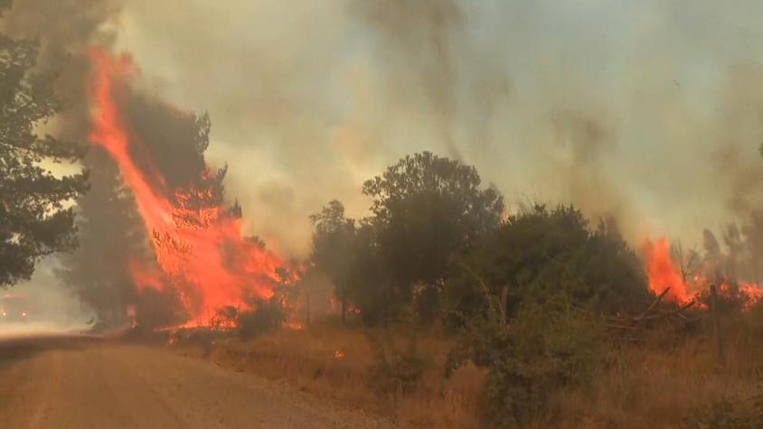 [VIDEO] Al menos 4 casas destruidas en Nacimiento, región del Biobío, por incendio forestal