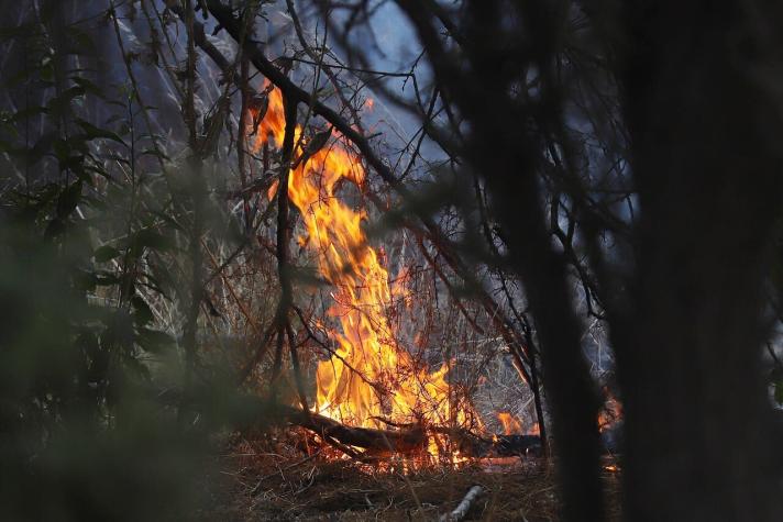 Onemi decretó Alerta Roja para Quillón por incendio forestal cercano a viviendas