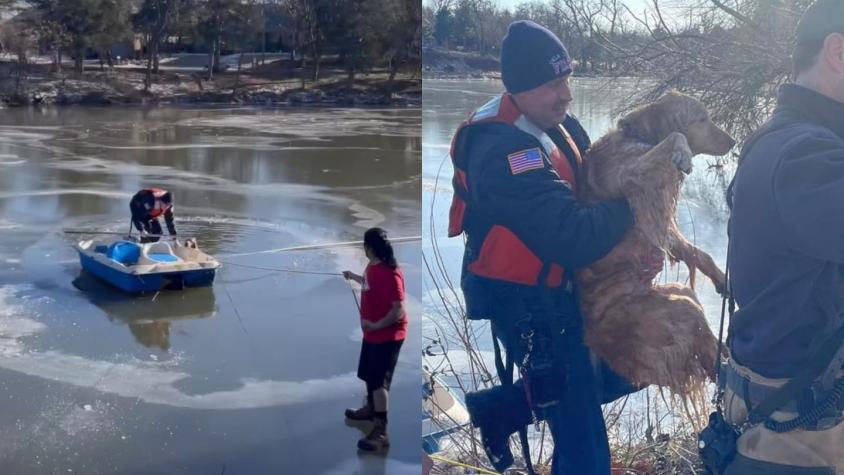[VIDEO] Bomberos rescatan a perrito que cayó en el medio de un lago congelado en EE.UU