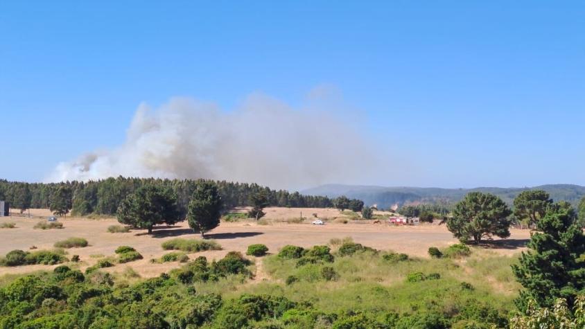 Senapred declaró alerta roja para Talcahuano por incendio forestal