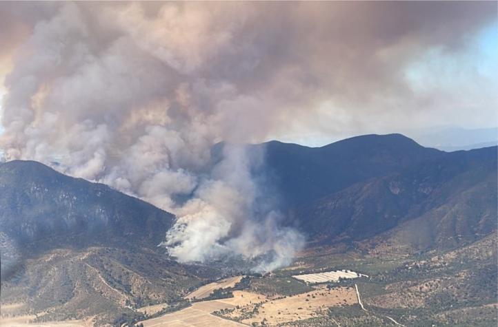 Senapred declaró alerta roja en San Pedro de Melipilla por incendio forestal