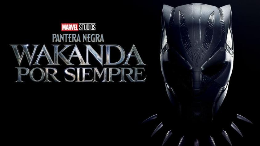 Confirmaron fecha: Revisa cuándo se estrena "Pantera Negra: Wakanda por Siempre" en Disney+