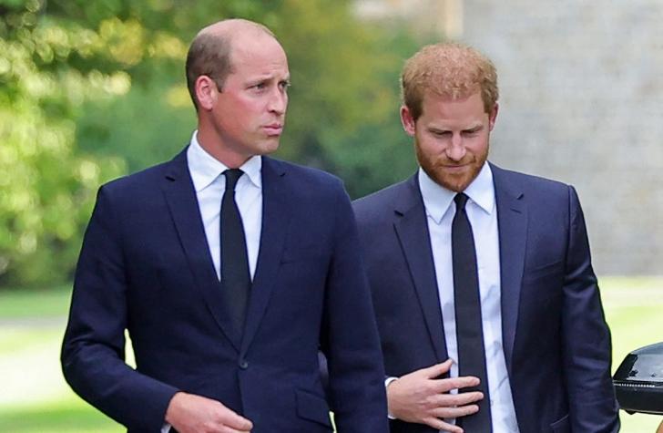 Príncipe Harry detalla fuerte pelea que tuvo con William: "Me agarró del cuello y me tiró al suelo"