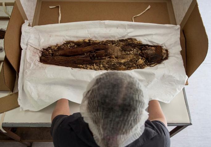 Descubren restos de momia chinchorro en estacionamiento en Arica