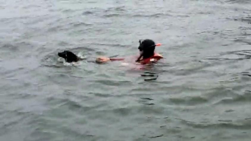 [VIDEO] Rescatan a perrita tras varios días atrapada en islote