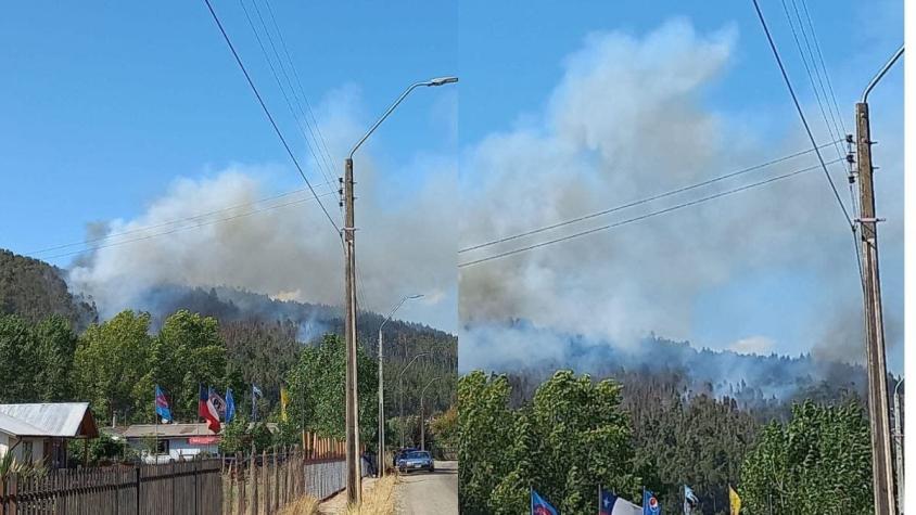 Senapred declara alerta roja en Purén por incendio forestal
