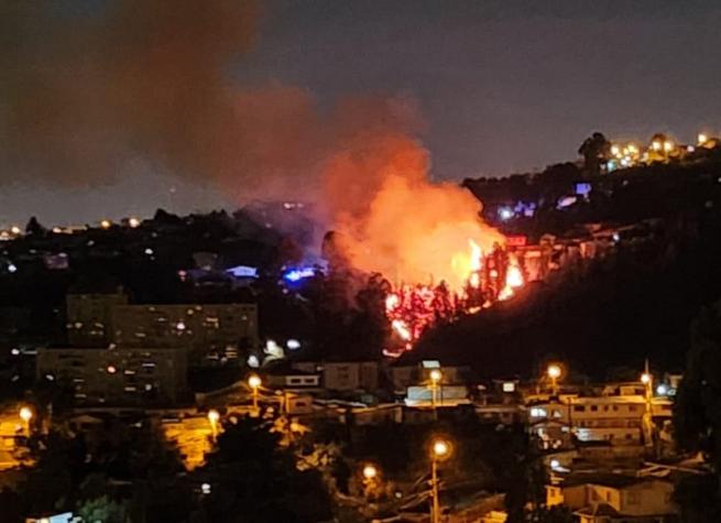 Valparaíso: Incendio forestal afectó al Cerro Rodelillo
