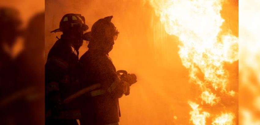 Perro arrastró y despertó a su amo para salvarlo de morir en un incendio: después rescató al gato