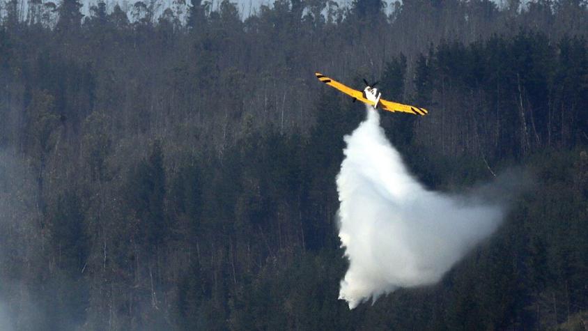 Declaran Alerta Roja para El Carmen y San Ignacio por incendios forestales cercanos a viviendas