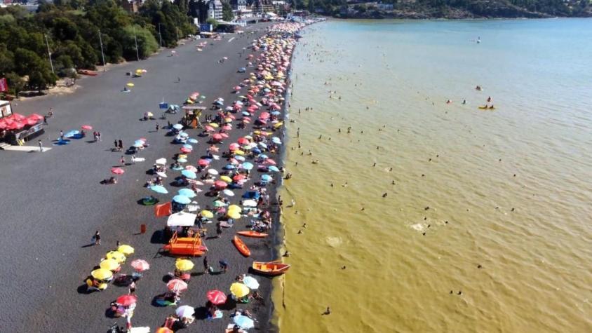 Minsal confirma monitoreo y fiscalización por aparición de algas en Lago Villarrica
