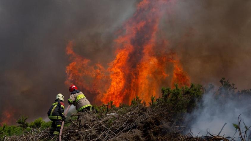 Alerta Roja por incendio forestal en Puerto Montt: Activaron SAE pidiendo evacuar sector habitado