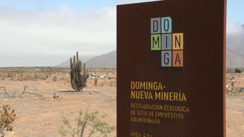 [VIDEO] Emplazan al gobierno a rechazar el proyecto Dominga
