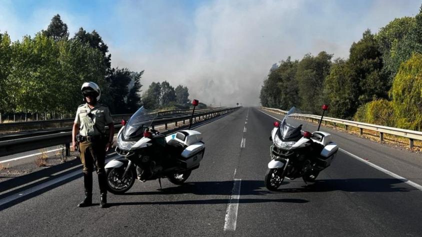 Senapred decretó alerta roja para Chillán por incendio forestal: Provocó corte en la Ruta 5