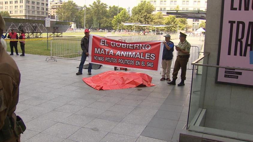 [VIDEO] Protestan con león muerto frente a La Moneda
