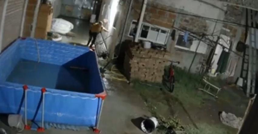 [VIDEO] Ladrón intentó ingresar a una casa a robar, pero dos perros lo acorralaron y lo mordieron