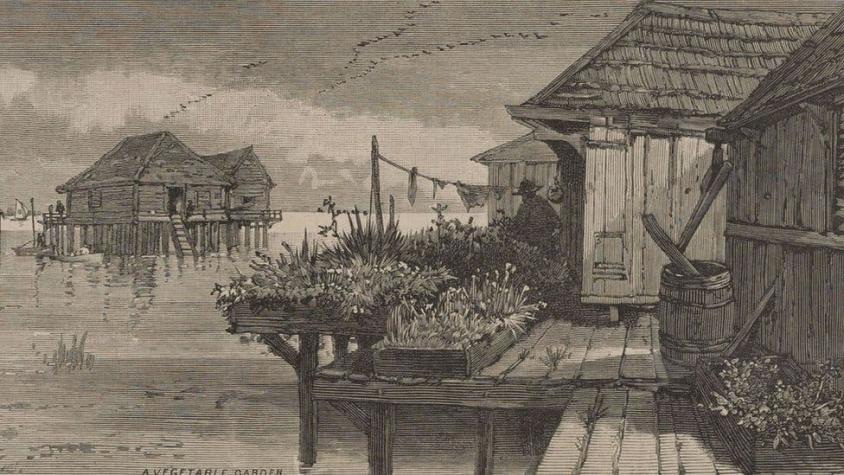 El misterio de los "manilamen", los colonizadores asiáticos que habitaron pantanos del sur de EEUU