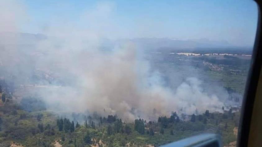 Declaran Alerta Roja en Tucapel ante incendios forestales