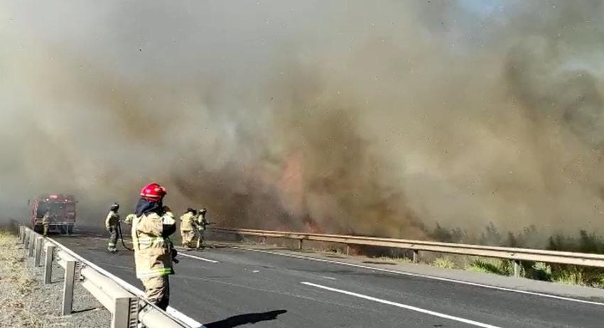 [VIDEO] Incendio forestal provoca corte en Ruta 5 Sur: Bomberos trabaja en el lugar