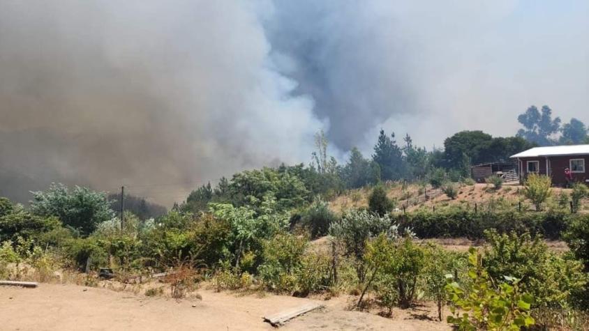 Ordenan evacuar sector de Ránquil en la región de Ñuble por incendio forestal