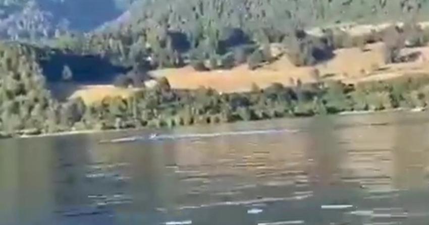 [VIDEO] Revuelo en redes por el "monstruo" del Lago Ranco: ¿De qué se trata en realidad?