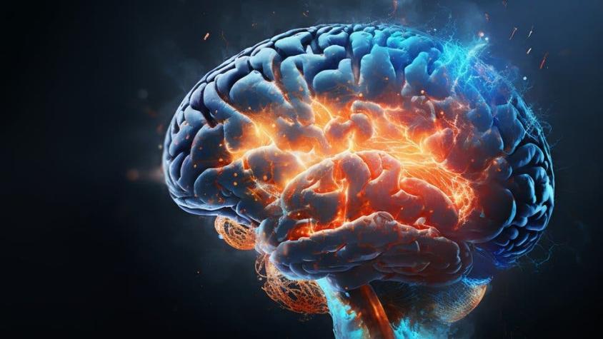 Personas con "superneuronas": ¿por qué hay cerebros que desafían el paso del tiempo?
