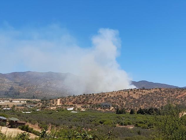 Incendio forestal se produce cercano a la Ruta 68 en Curacaví