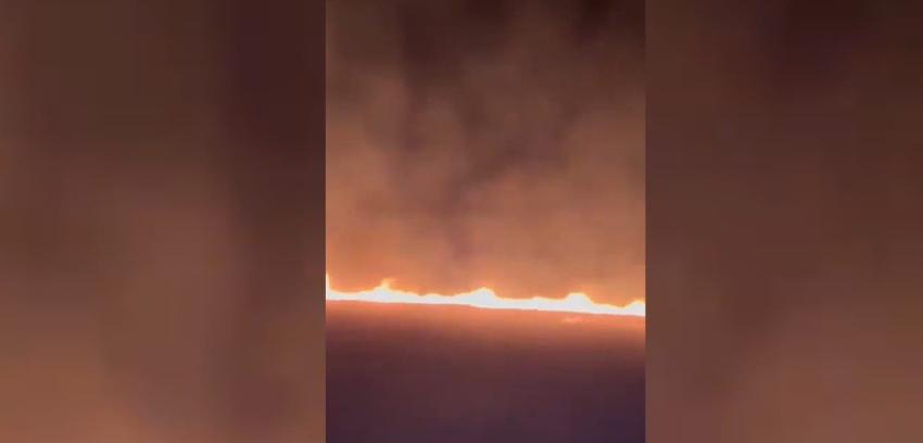 Incendio forestal se registra en Mulchén