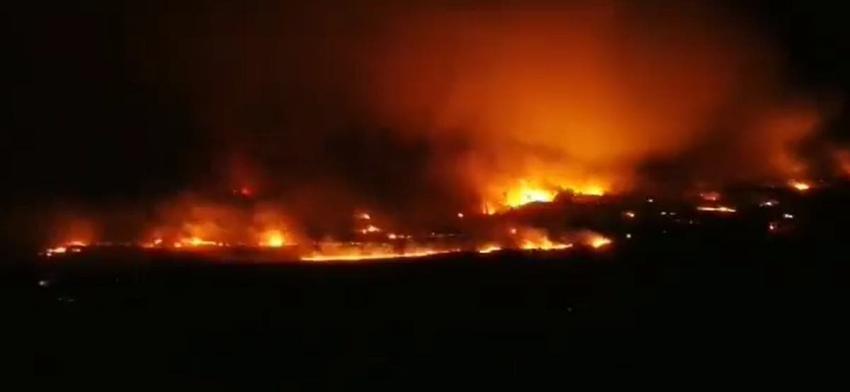 [VIDEOS] Los registros más impactantes del incendio forestal en Chillán