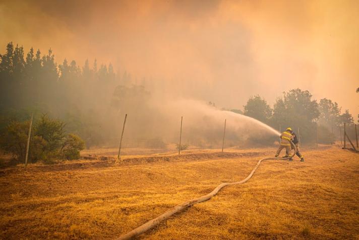 Monsalve y balance por incendios a nivel nacional: "Hay 21 que están en combate en estos momentos"
