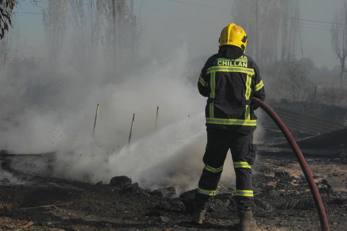 Nuevo balance: más de 550  hectáreas afectadas por incendios forestales en Chillán y Chillán Viejo