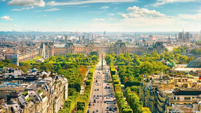 Plantar más árboles reduciría hasta en un tercio muertes por aumento de las temperaturas en ciudades Plantar más árboles reduciría hasta en un tercio muertes por aumento de las temperaturas en ciudades