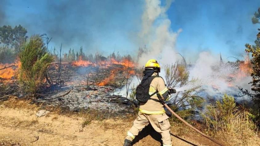 Alerta roja en varias comunas de la zona centro sur por incendios forestales